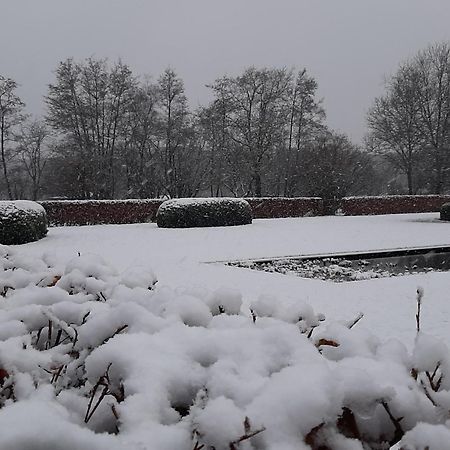 B&B De Levensboom Tessenderlo Kültér fotó
