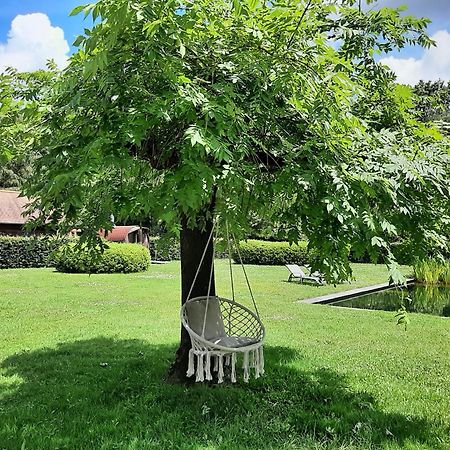 B&B De Levensboom Tessenderlo Kültér fotó